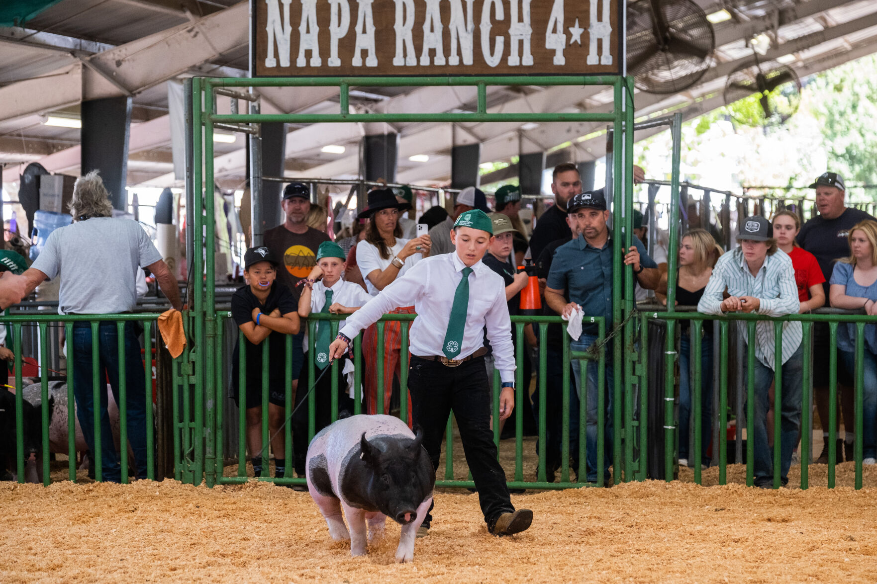 4-H at the Fair